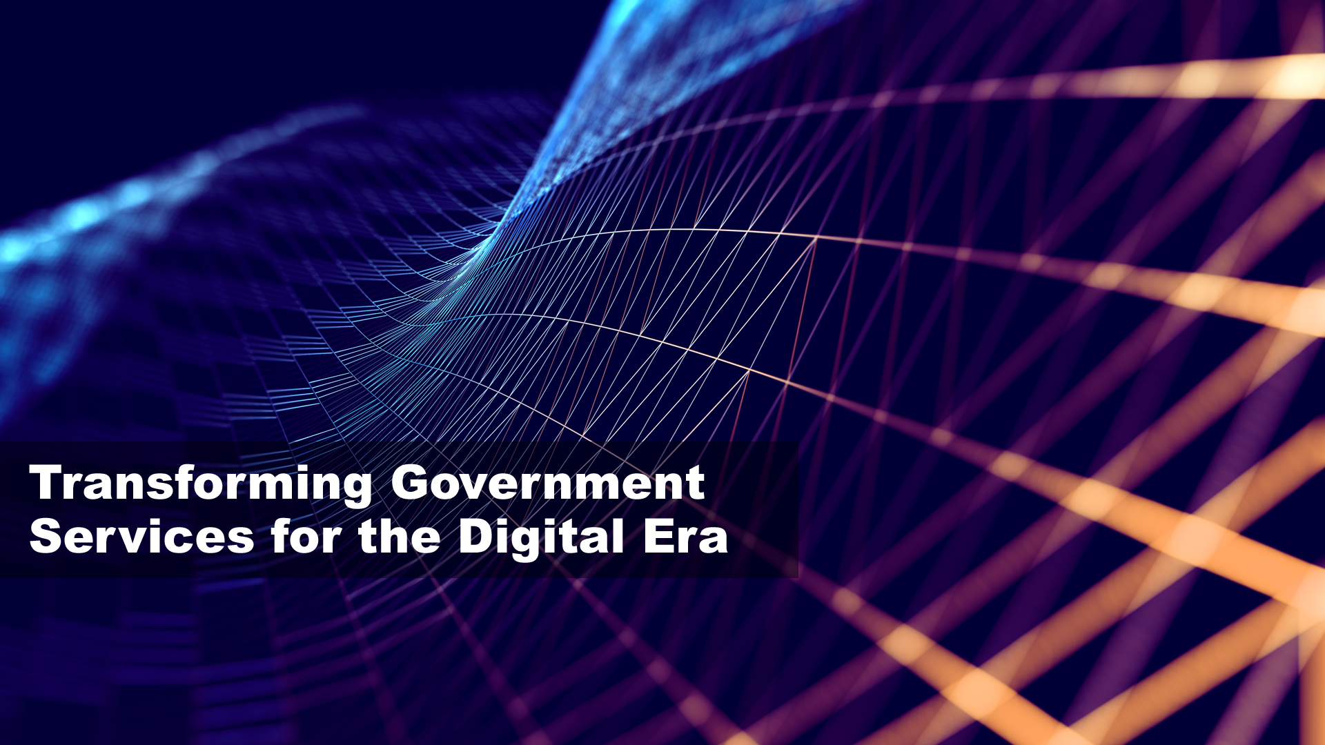 Transforming Government Services for the Digital Era: Government Structures (DDN2-V49)